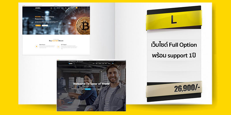 website full option service